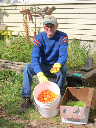habaneros